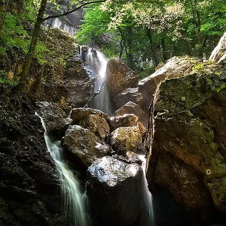 Aspectus 公寓 Divčibare